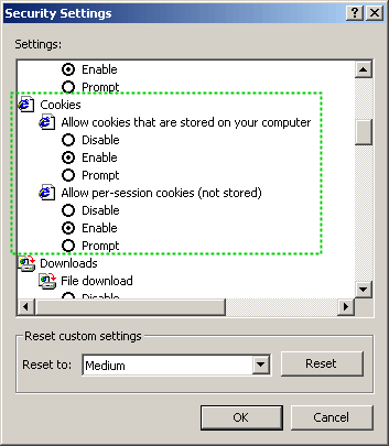 Internet Options - Custom Level... configuration dialog